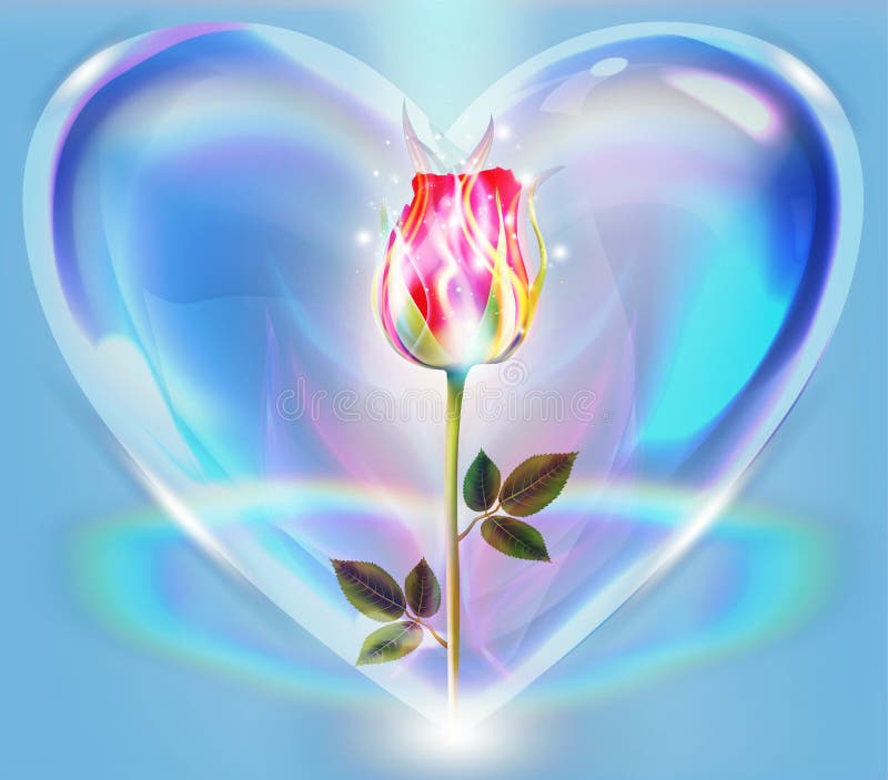 Wieczna miłość ogień życia płonąca róża dusza prawdziwa uniwersalna miłość bliźniaczka ogień duchowy rozkwit symbol błogości