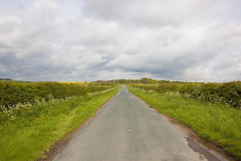Wiejska droga i hedgerows obraz stock Wiejska droga i hedgerows obraz stock
