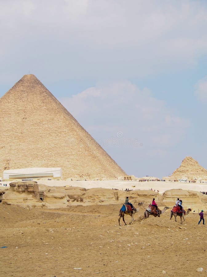Wielbłądy przy ostrosłupami Giza obraz stock Wielbłądy przy ostrosłupami Giza obraz stock