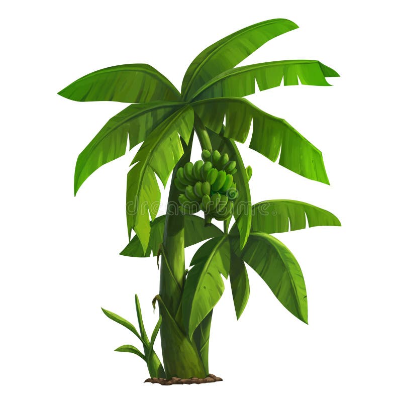 wielka bananów ' blisko green zostaw drzewa royalty ilustracja wielka bananów ' blisko green zostaw drzewa royalty ilustracja