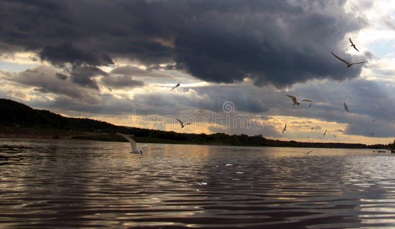 Wielka rzeka z latającym seagull obrazy royalty free Wielka rzeka z latającym seagull obrazy royalty free