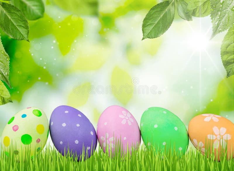 Easter egg grass background color colorful blue. Easter egg grass background color colorful blue