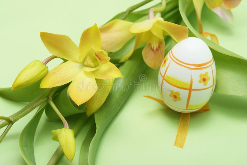 Easter egg with yellow orchid on green background. Easter egg with yellow orchid on green background.