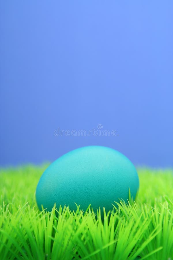 Blue easter egg on grass. Blue easter egg on grass