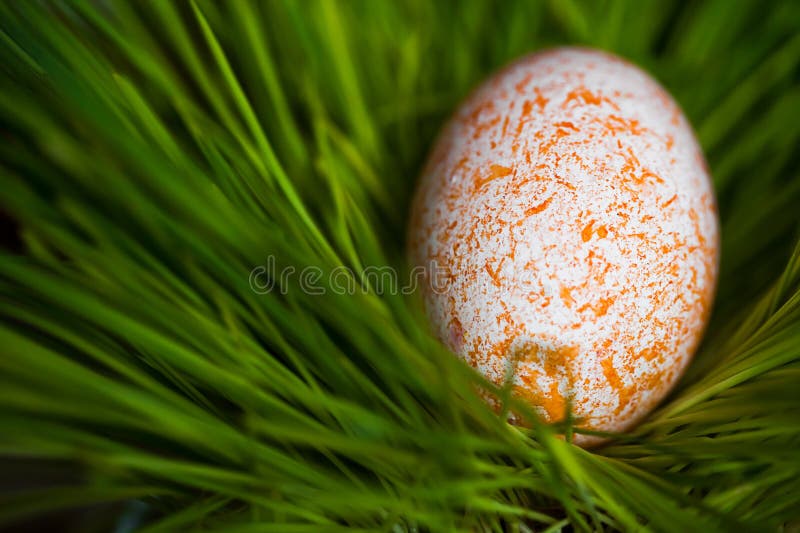 Easter egg on the grass. Easter egg on the grass