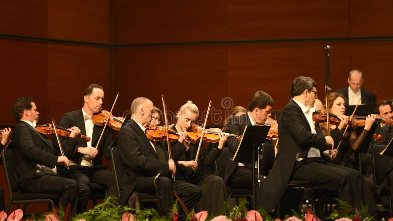 Wien-Radio-Sinfonieorchester stockbilder Wien-Radio-Sinfonieorchester stockbilder