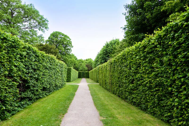 WIEN, ÖSTERREICH - 15. MAI 2016: Grünes Labyrinth an schonbrunn Garten stockfoto WIEN, ÖSTERREICH - 15. MAI 2016: Grünes Labyrinth an schonbrunn Garten stockfoto