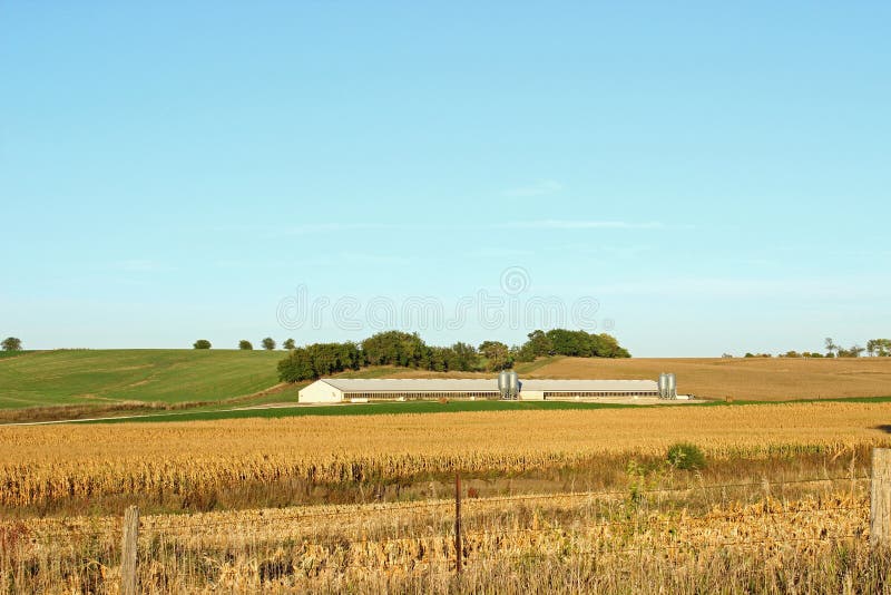 A hog confinement in the rural Midwest. A hog confinement in the rural Midwest.