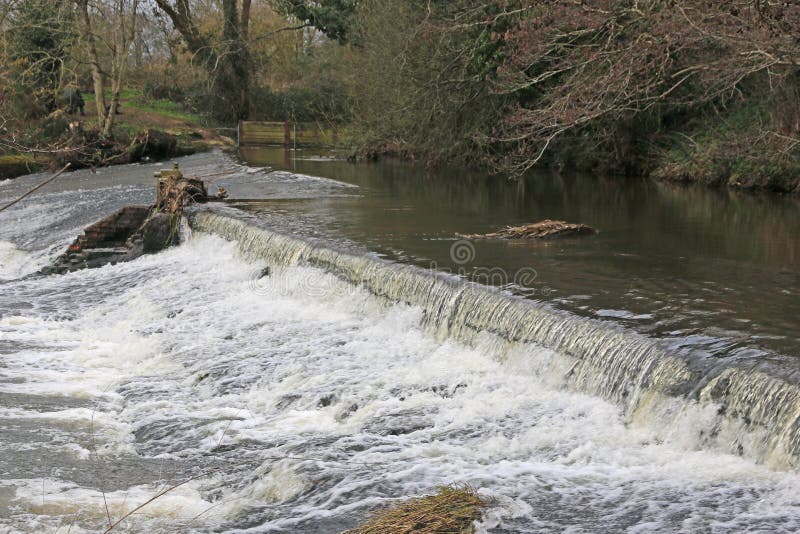 Wier on the River Culm, Devon Stock Image Image of devon, rocks