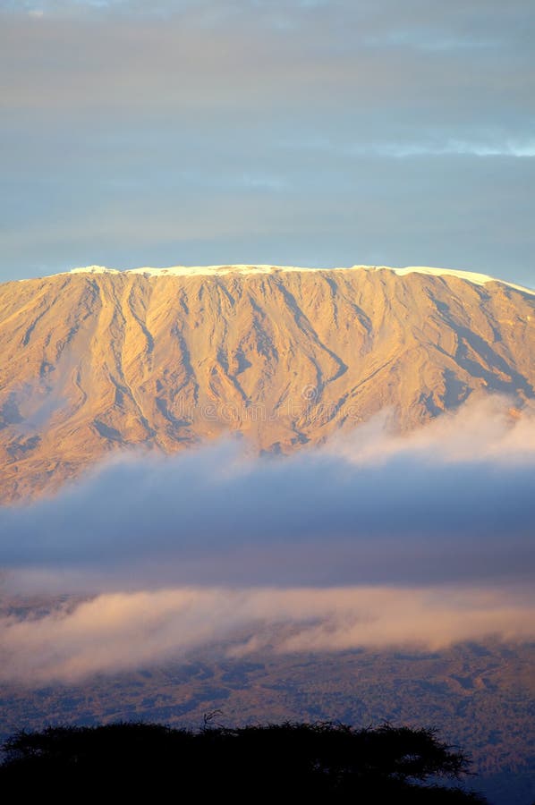 Wierzchołek kilimanjaro góra w wschód słońca zdjęcia stock Wierzchołek kilimanjaro góra w wschód słońca zdjęcia stock