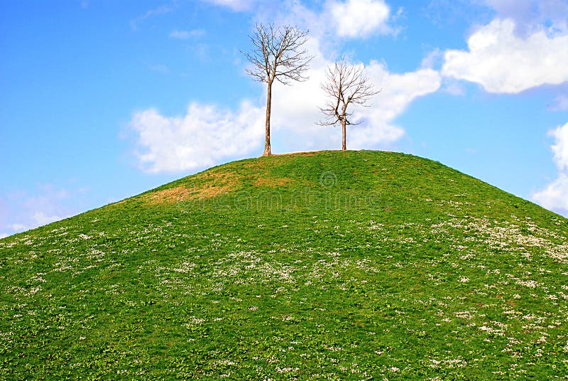Wiese mit Platz für Text lizenzfreies stockfoto
