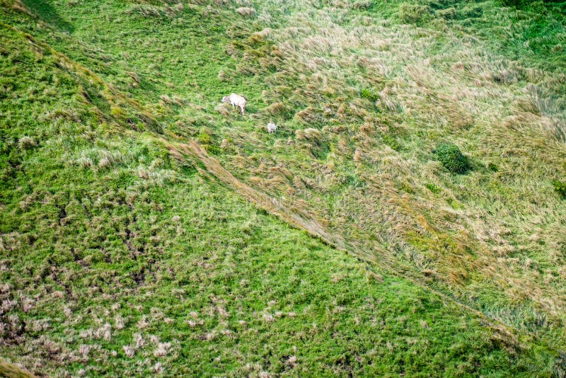 Wiese von Batanes, Philippinen stockfoto