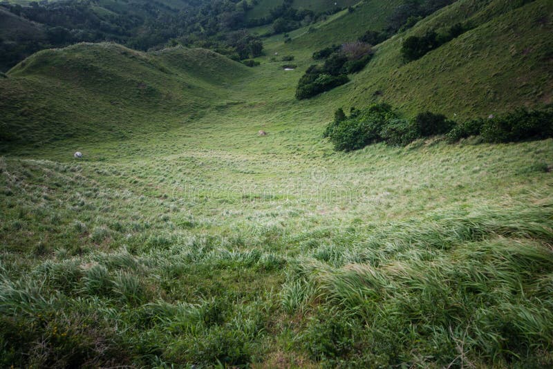 Wiese von Batanes, Philippinen stockfotografie