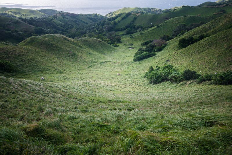 Wiese von Batanes, Philippinen lizenzfreies stockbild