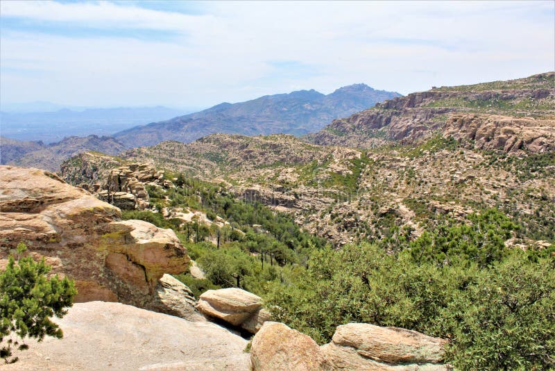 Wietrzny punkt Vista, góra Lemmon, Santa Catalina góry, Lincoln las państwowy, Tucson, Arizona, Stany Zjednoczone obrazy royalty free Wietrzny punkt Vista, góra Lemmon, Santa Catalina góry, Lincoln las państwowy, Tucson, Arizona, Stany Zjednoczone obrazy royalty free