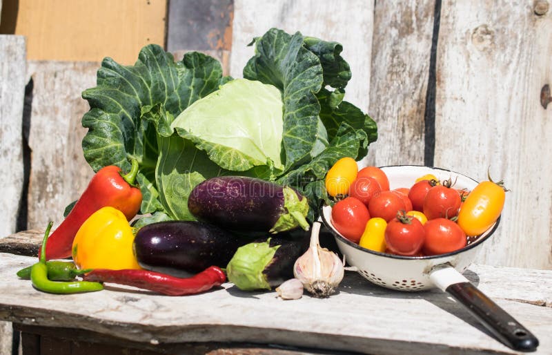 ?wiezi i zdrowi organicznie warzywa na nieociosanym tle zdjęcie stock ?wiezi i zdrowi organicznie warzywa na nieociosanym tle zdjęcie stock