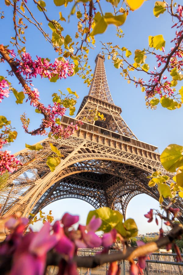 Wieża Eifla podczas wiosna czasu w Paryż, Francja
