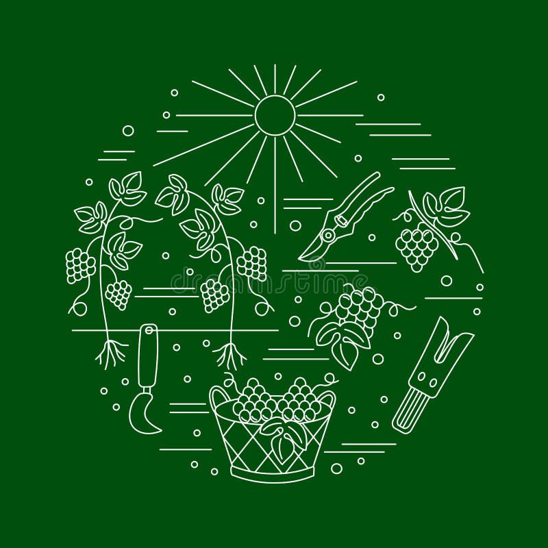 Wijnbereiding, wijn die grafisch ontwerpconcept proeven stock illustratie Wijnbereiding, wijn die grafisch ontwerpconcept proeven stock illustratie
