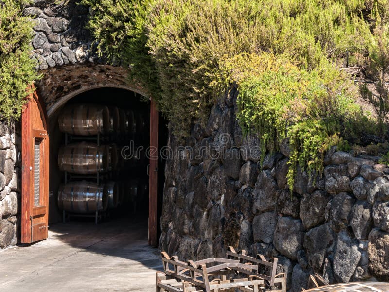 Wijnkelder stock afbeeldingen