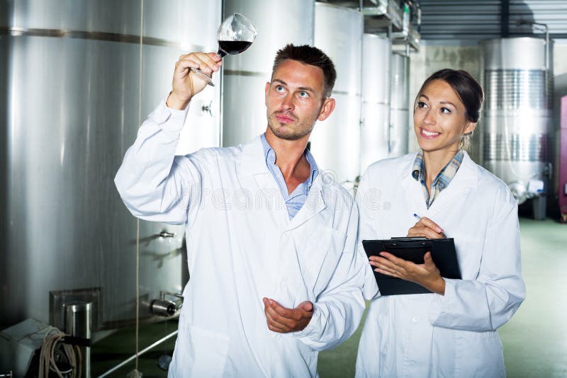 Wijnmakerijarbeiders het nemen neemt van terwijl het bespreken van wijnsteekproef nota stock foto Wijnmakerijarbeiders het nemen neemt van terwijl het bespreken van wijnsteekproef nota stock foto