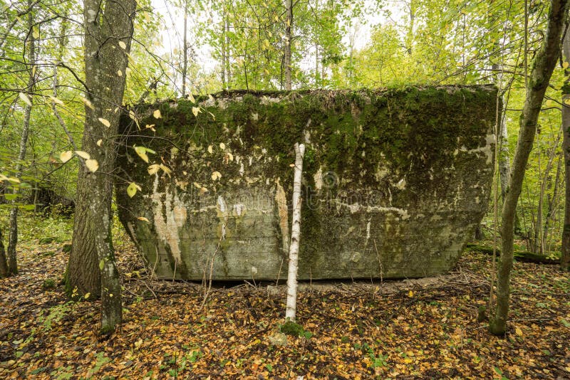 Wilczy ` s Lair, Adolf Hitler ` s bunkier, Polska Pierwszy Wschodnie Frontowe kwatery główne, druga wojna światowa Kompleks dmuch obraz stock Wilczy ` s Lair, Adolf Hitler ` s bunkier, Polska Pierwszy Wschodnie Frontowe kwatery główne, druga wojna światowa Kompleks dmuch obraz stock
