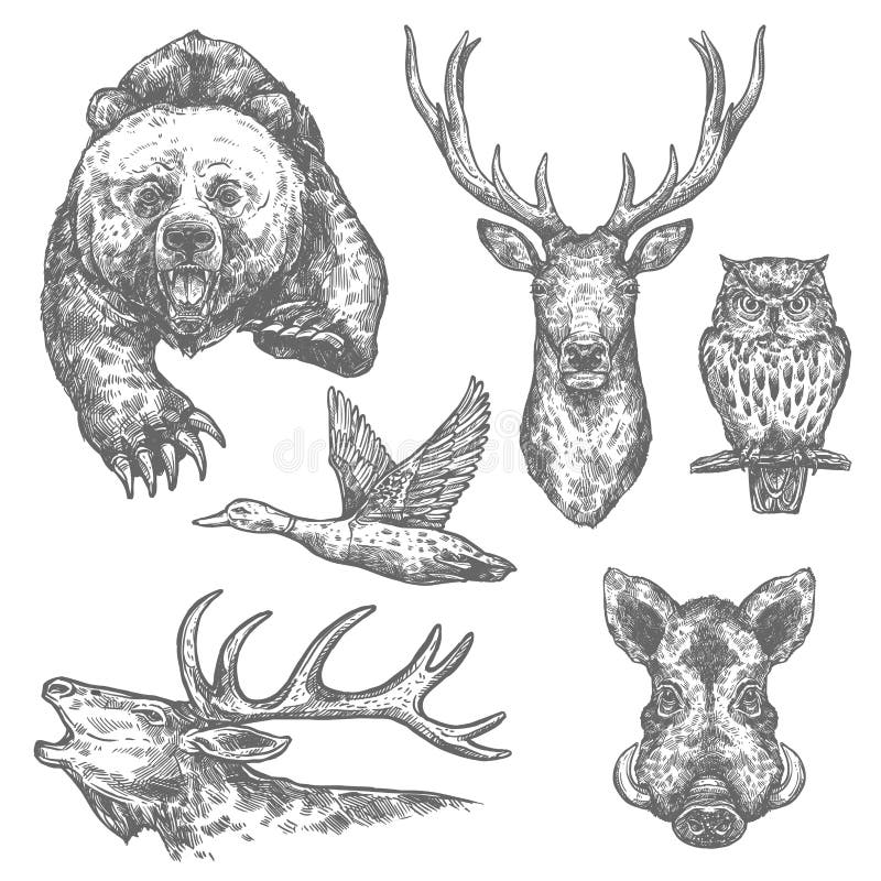 Wild Hunting Stock Illustrations – 72,056 Wild Hunting Stock