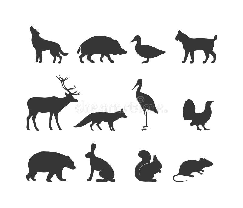 Wild Animals Black Silhouette and Wild Animal Symbols Stock Vector -  Illustration of jungle, endangered: 68898653