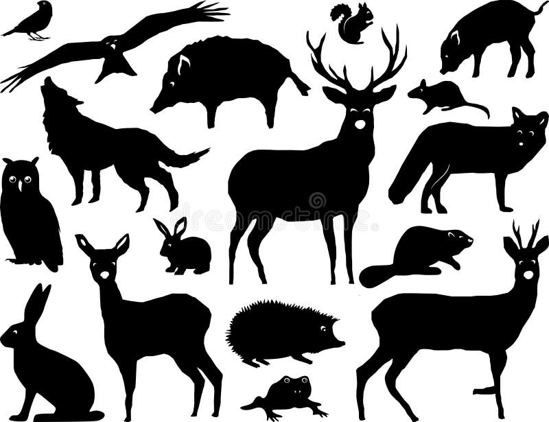 Wild Animals Forest Landscape Vector Silhouette Stock Photo - Illustration of engraved, life: 168382396 Wild Animals Forest Landscape Vector Silhouette Stock Photo - Illustration of engraved, life: 168382396