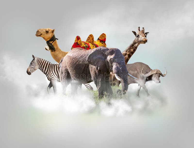 Wild animals group - giraffe, elephant, zebra above white clouds in gray sky