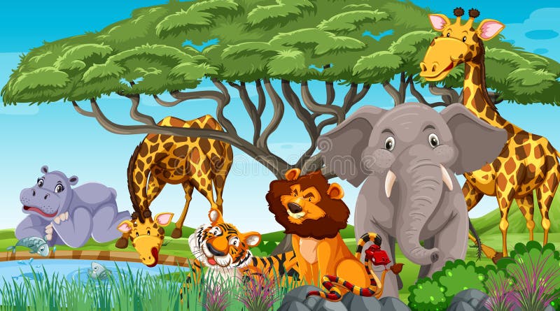 Wild animals in the jungle stock vector. Illustration of mammal - 210945064 Wild animals in the jungle stock vector. Illustration of mammal - 210945064