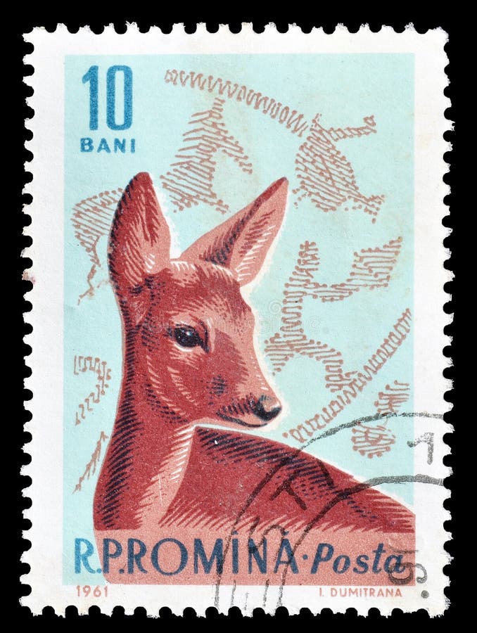 Interesting Animal Images on Postage Stamps - Vetstreet