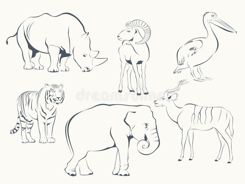 Wild Animals stock vector. Illustration of outline, wildlife - 46905526 Wild Animals stock vector. Illustration of outline, wildlife - 46905526
