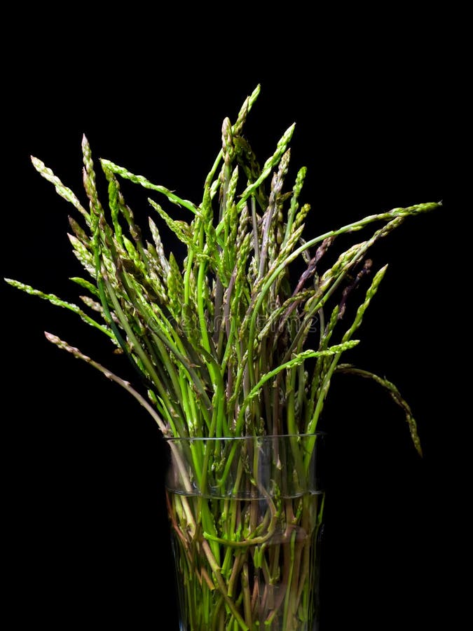 Wild asparagus plant stock image. Image of bloom, foliage 92684755