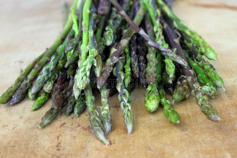 Wild asparagus plant stock image. Image of bloom, foliage 92684755