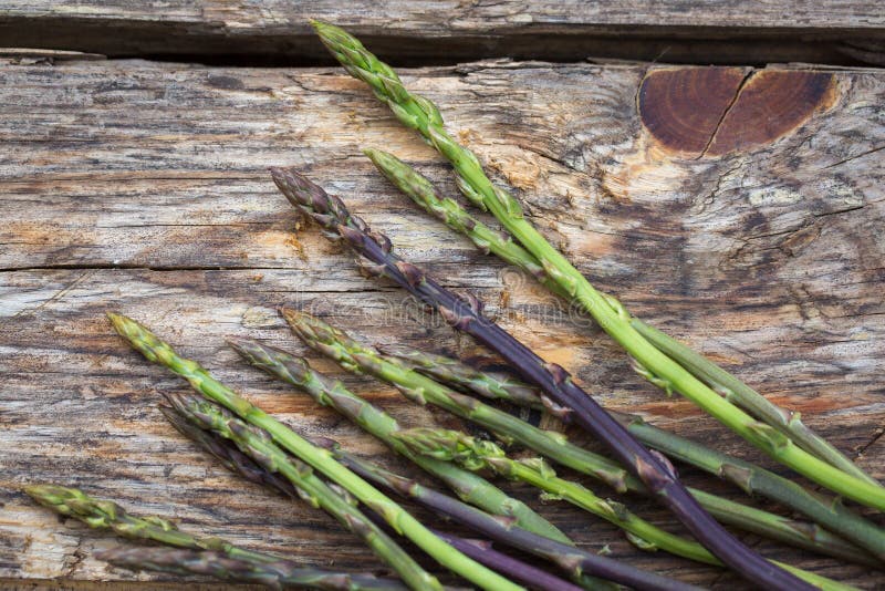 Wild asparagus stock image. Image of spring, veggie, seasonal 88415063