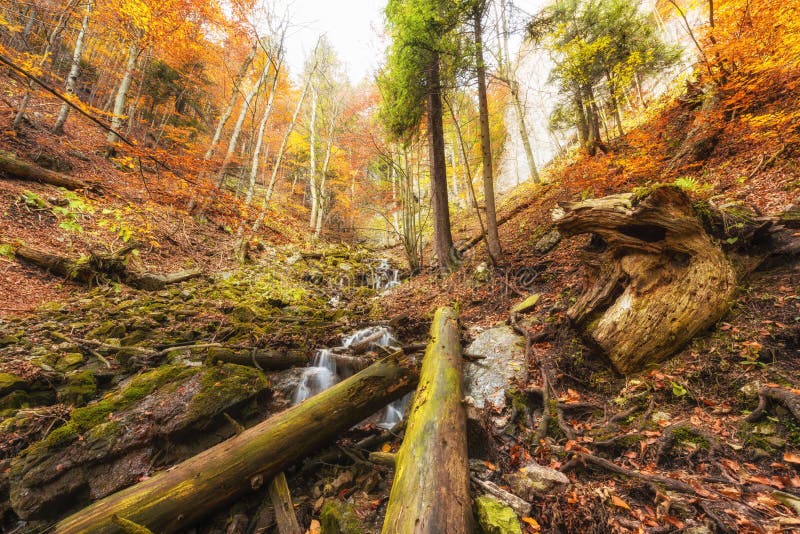 Divoký jesenný horský les s vodopádom, príroda farebná krajina