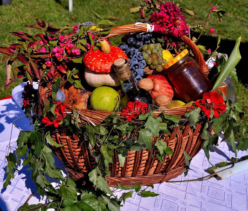 Wild Autumn Vegetables and Fruits