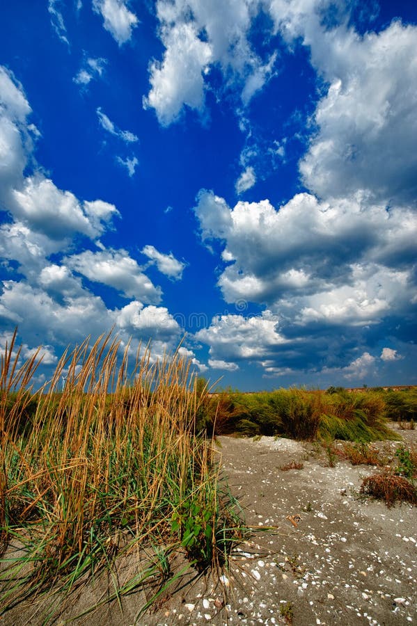 Wild beach, hdr image stock photos Wild beach, hdr image stock photos