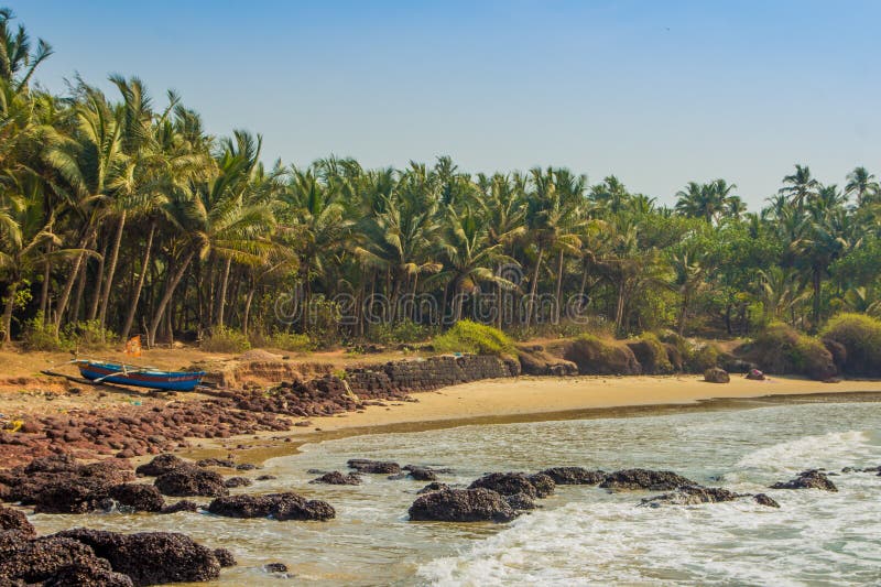 Wild Beach in Maharashtra State, India, Arabian Sea Stock Photo Image