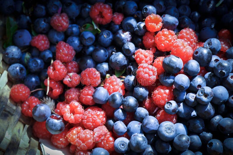 Wild berries blur stock photo. Image of contrast, mobile 73895792