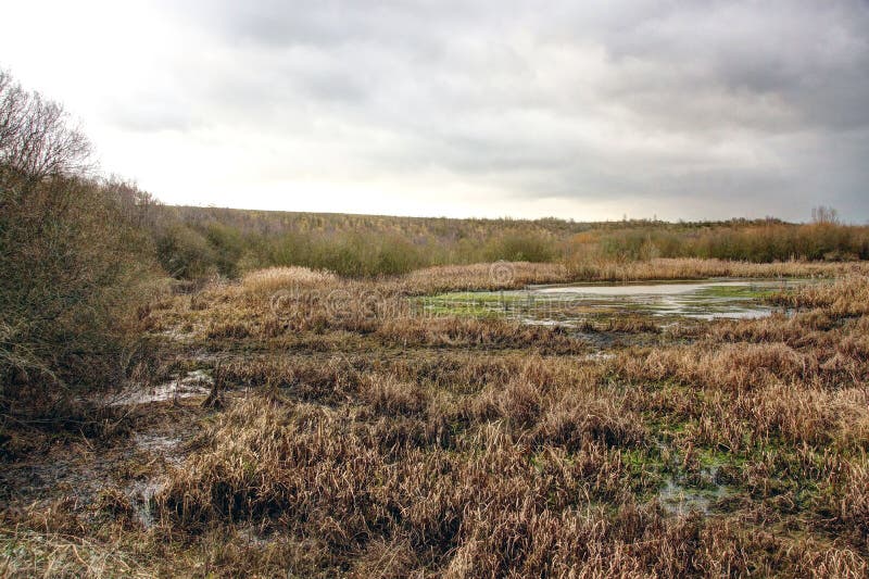 Nature Reserve, Fairburn Ings