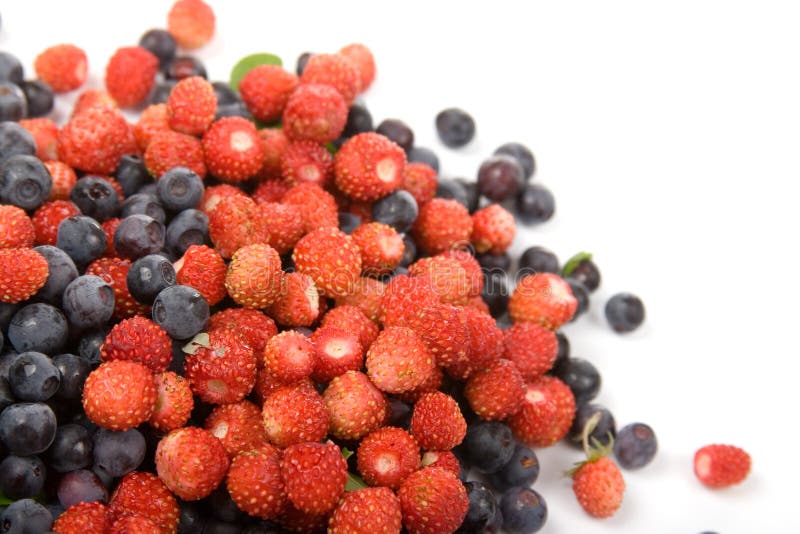 Wild strawberries and blueberries on a white background. Wild strawberries and blueberries on a white background