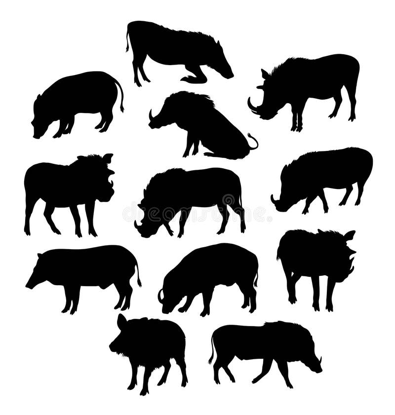 Wild Boars Silhouette stock vector. Illustration of snout - 80662578