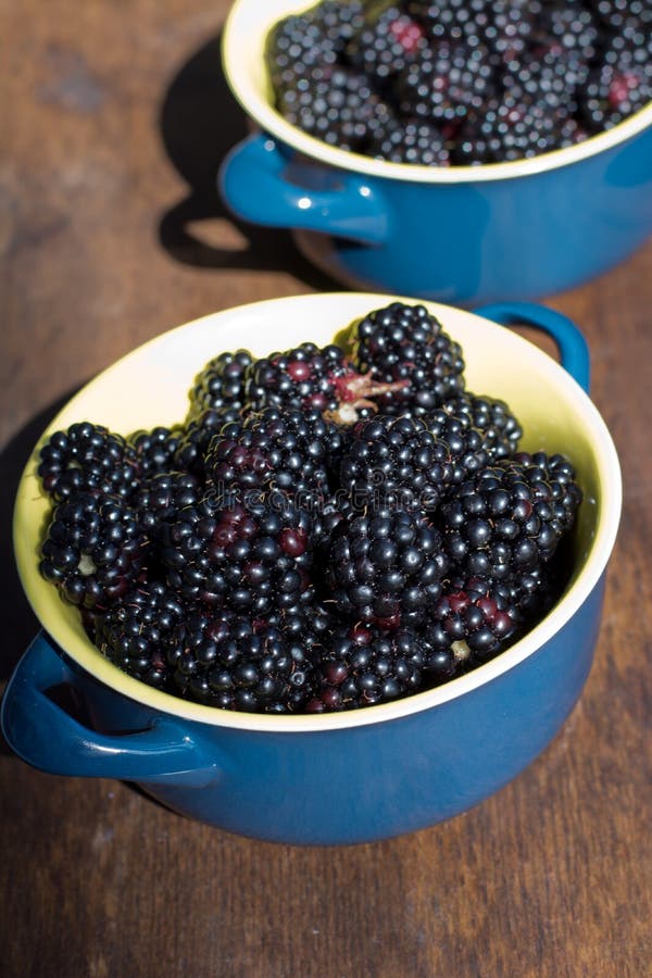 Wild, Bright Blackberry in Blue Plate - Healthy Fruit Stock Photo ...