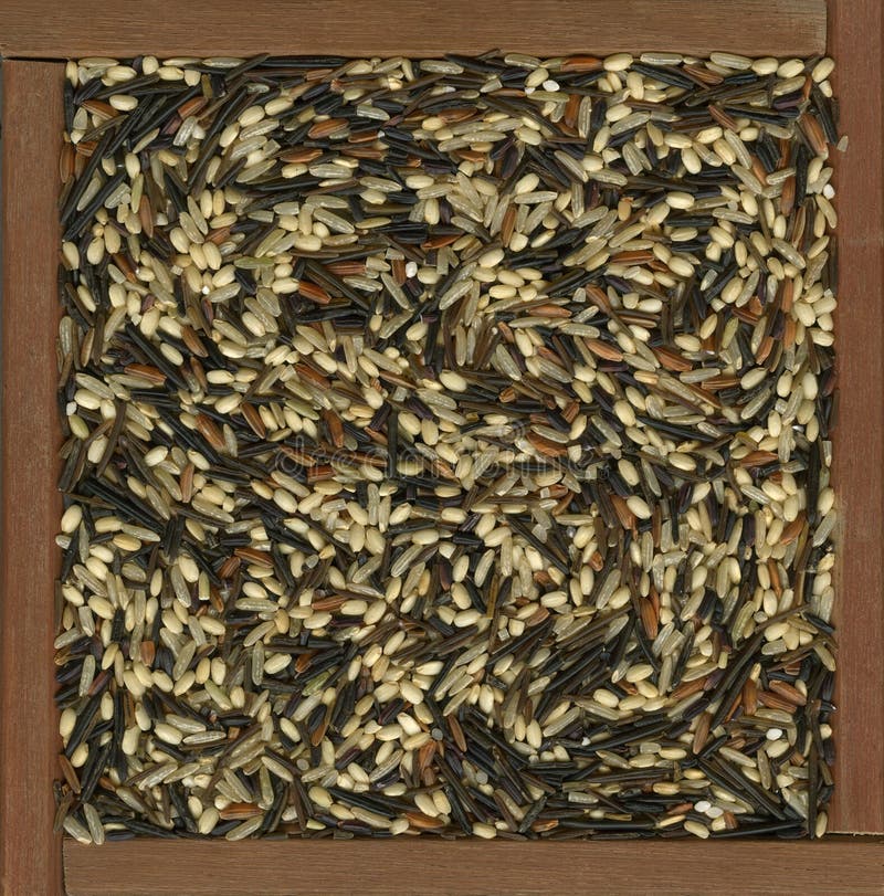 Wild and brown rice blend stock image. Image of black 9849155