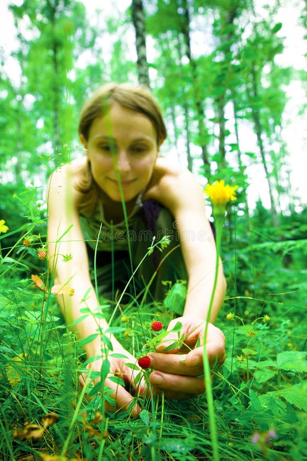 Pretty girl picking wild strawberries in forest. Pretty girl picking wild strawberries in forest