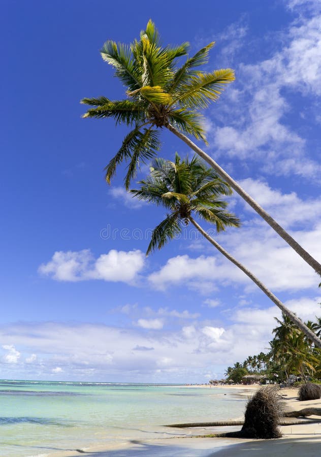 Wild caribbean beach stock photo. Image of getaway, remote - 19303184