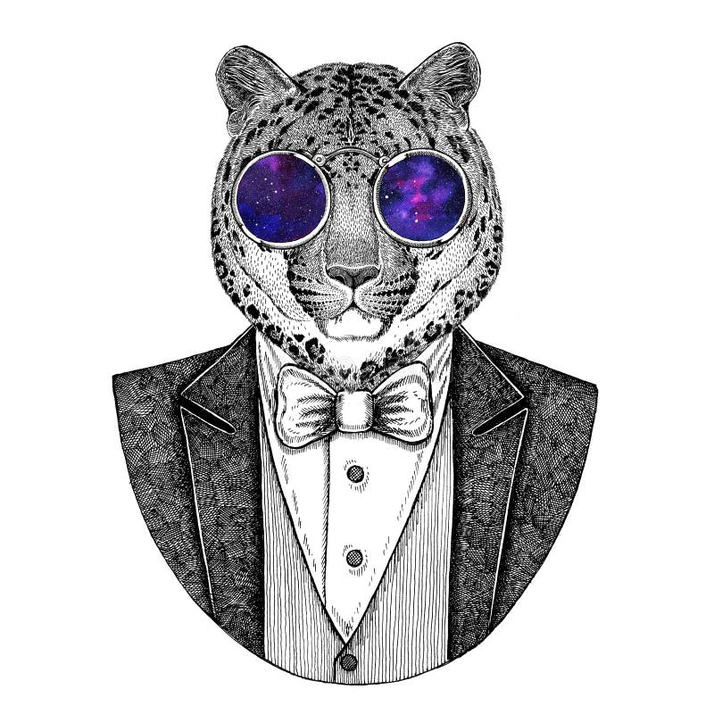 Wild cat Leopard Cat-o`-mountain Panther Hand drawn illustration royalty free illustration Wild cat Leopard Cat-o`-mountain Panther Hand drawn illustration royalty free illustration