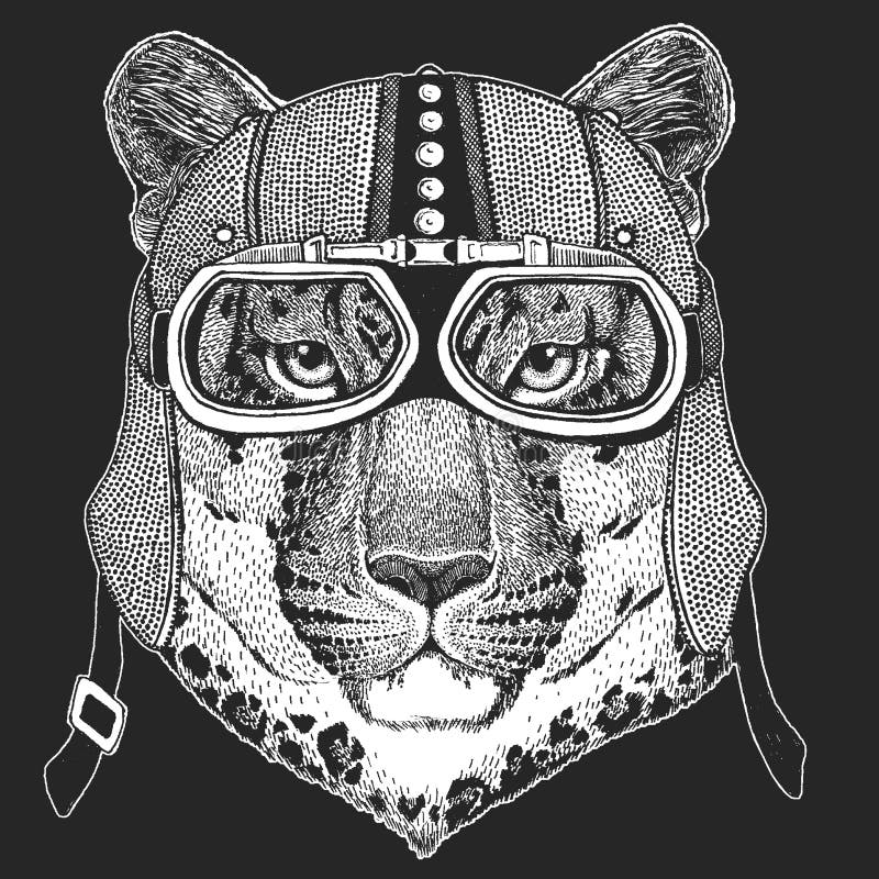 Leopard, wild cat, panther, puma, jaguar. Vintage motorcycle hemlet. Retro style illustration with animal biker for vector illustration Leopard, wild cat, panther, puma, jaguar. Vintage motorcycle hemlet. Retro style illustration with animal biker for vector illustration