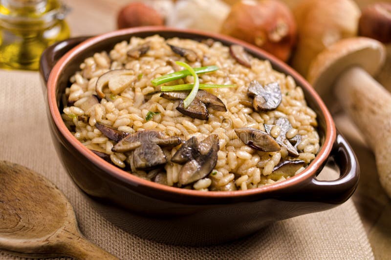 Wild champinjonRisotto royaltyfria bilder Wild champinjonRisotto royaltyfria bilder